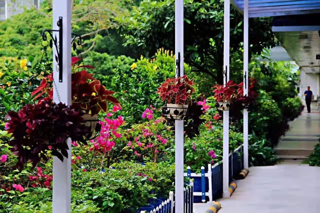 微信图片_20201229102044