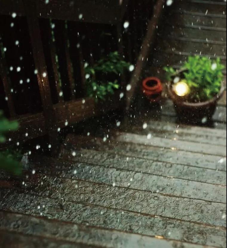 家博园艺｜要想生活过得去，庭院总得有点绿