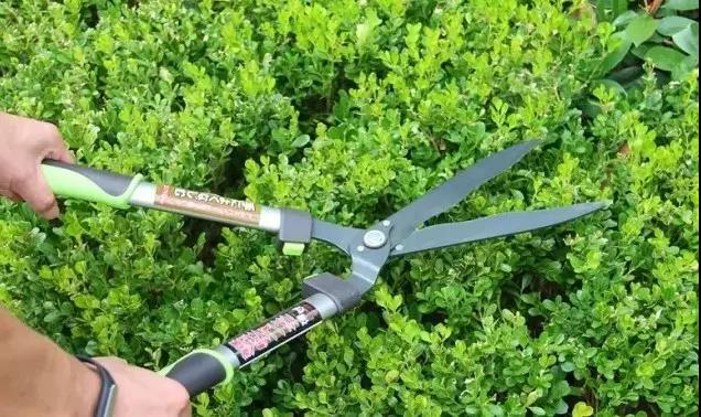 微信图片_20210713142726