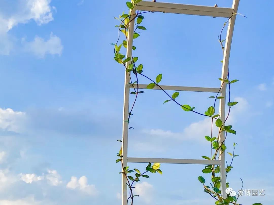 微信图片_20210918153802