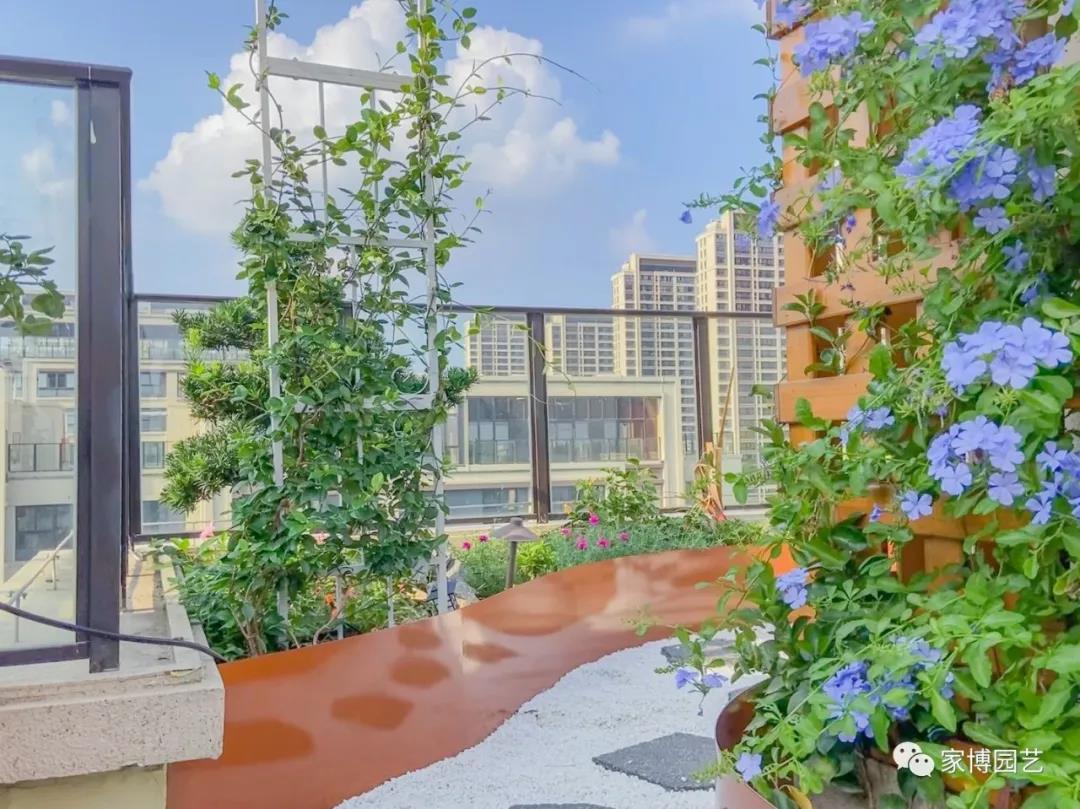 微信图片_20210918153804