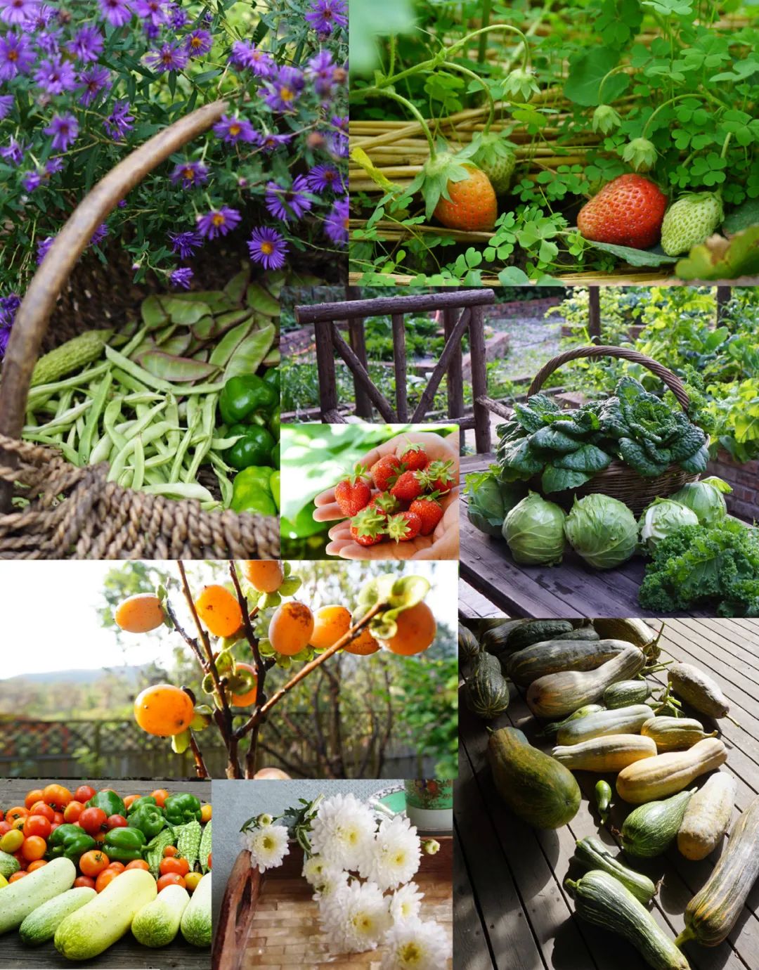 微信图片_20220329085914