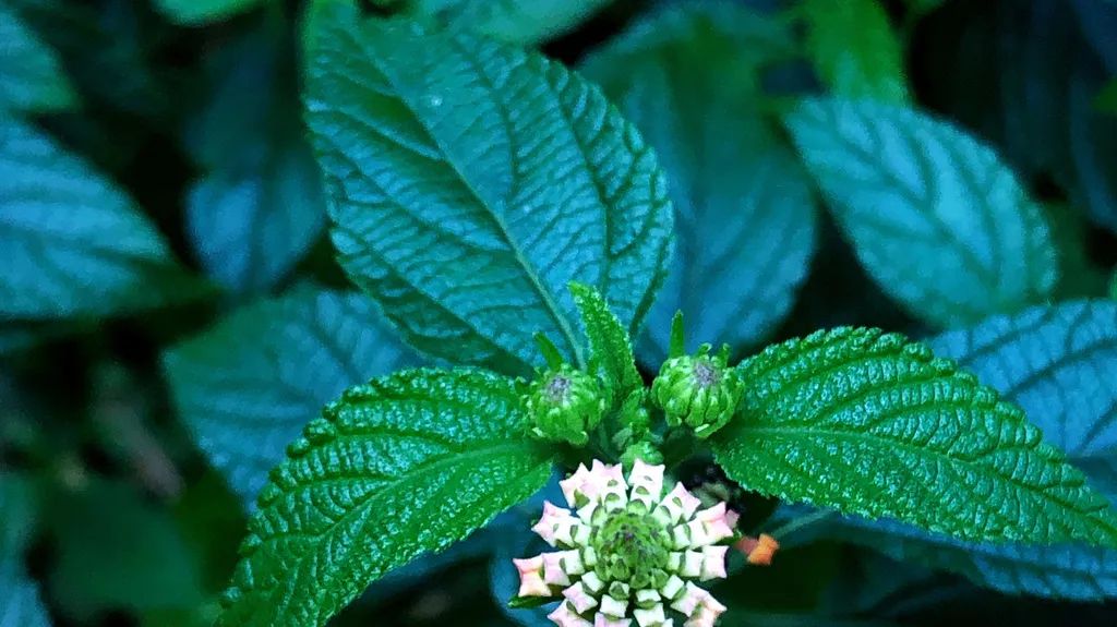 微信图片_20220427091752