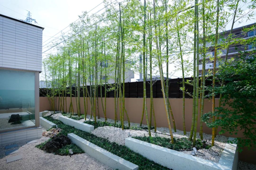 微信图片_20220610095541