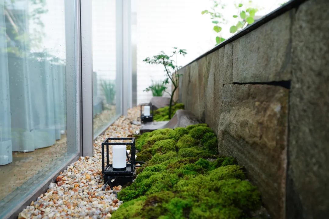 微信图片_20220610095543