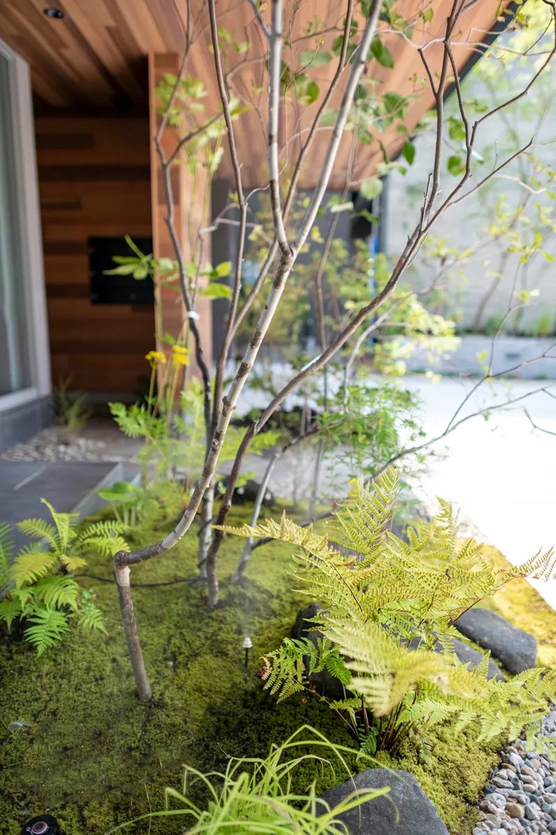 微信图片_20220610095614