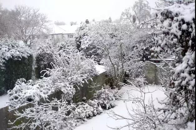 微信图片_20221107085156