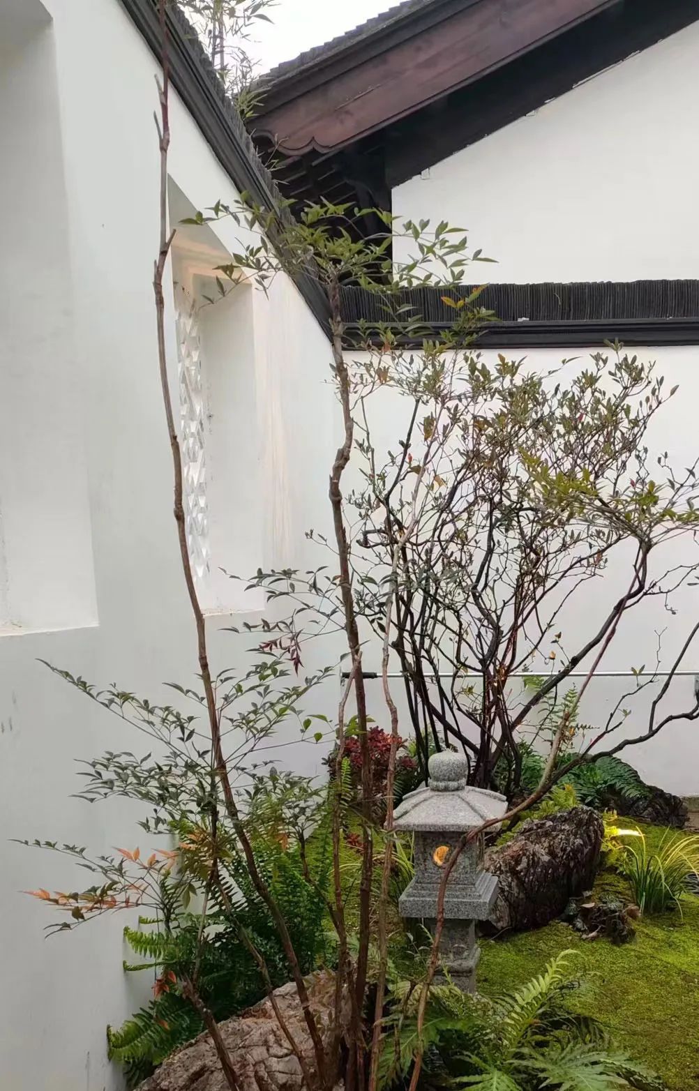 微信图片_20230204114609