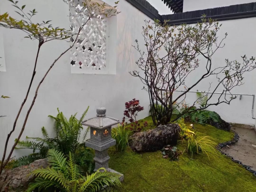 微信图片_20230204114645