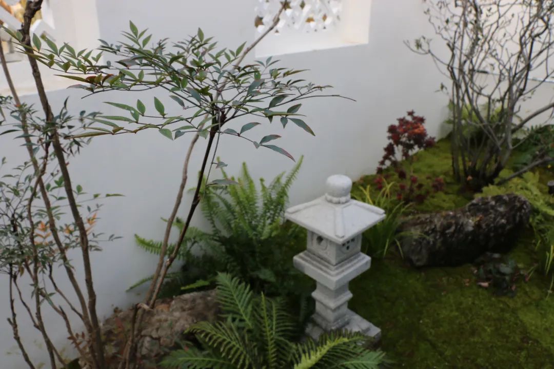 微信图片_20230204114653