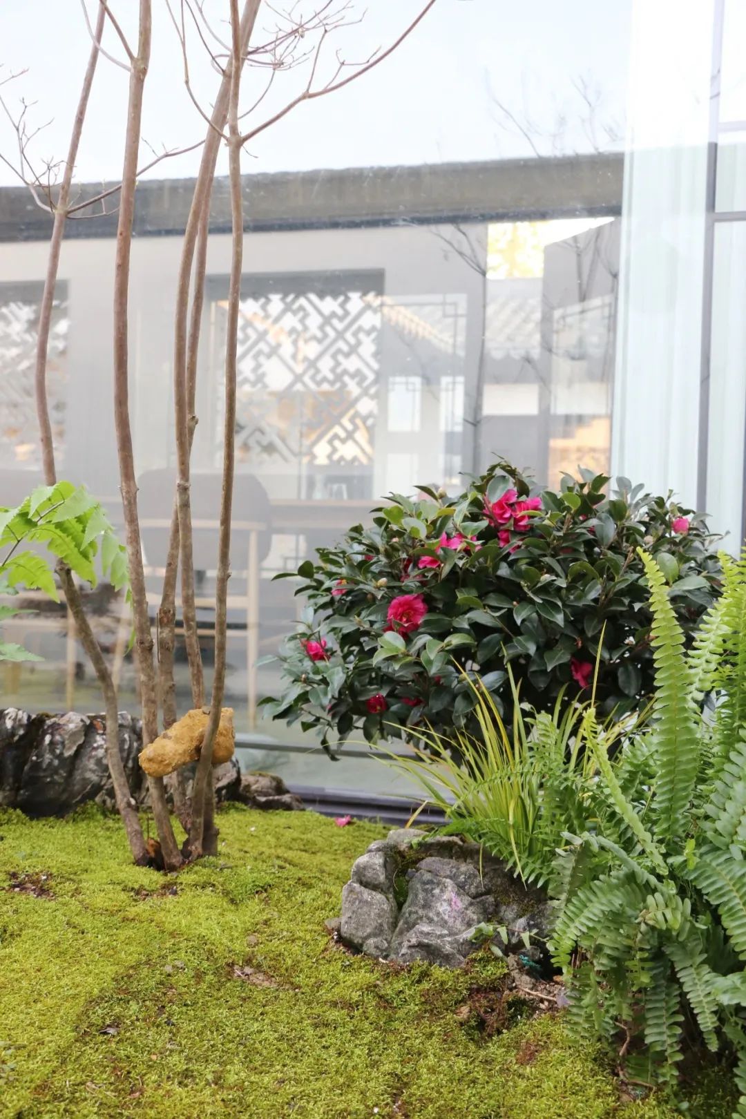 微信图片_20230204114701