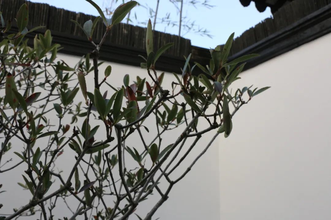 微信图片_20230204114704