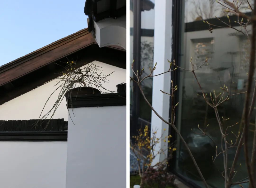 微信图片_20230204114707