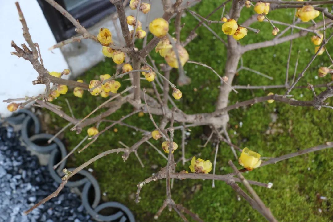 微信图片_20230204114710