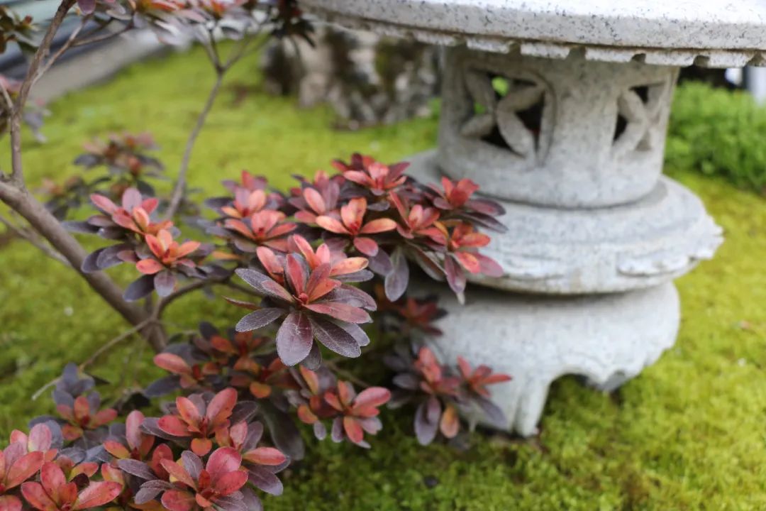 微信图片_20230204114712