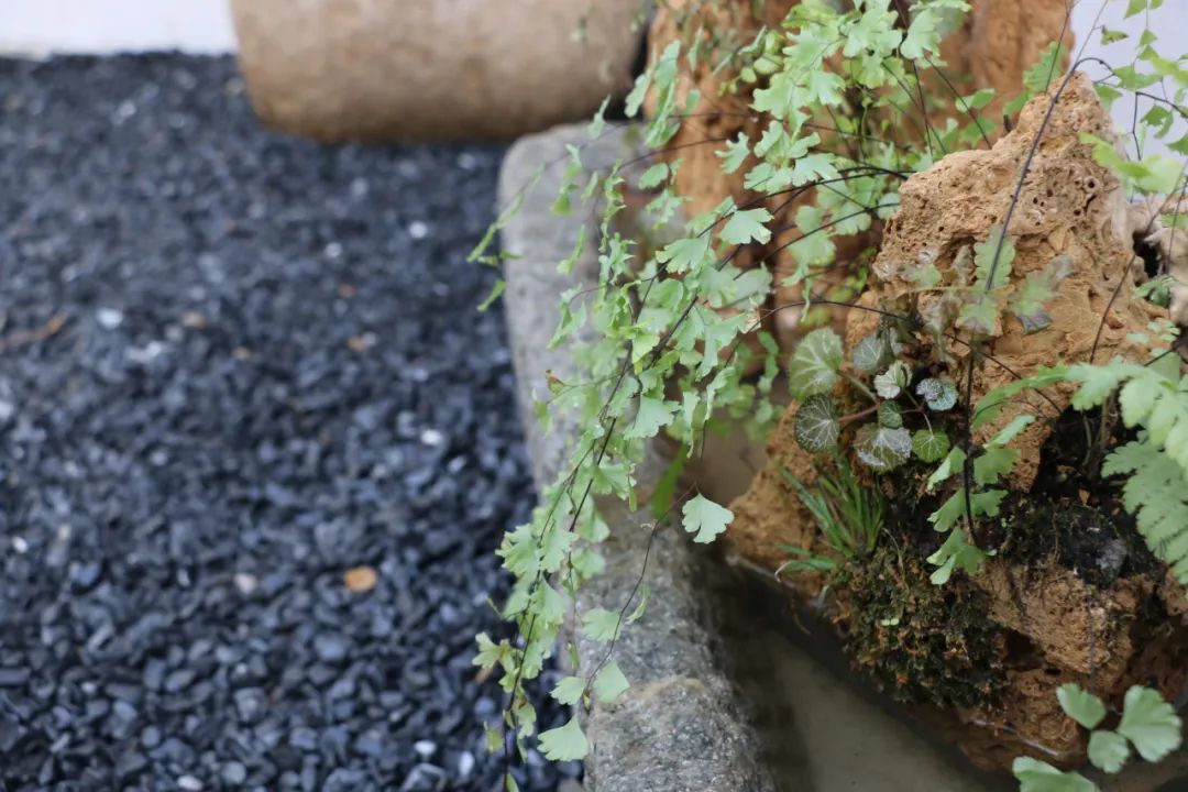 微信图片_20230204114715