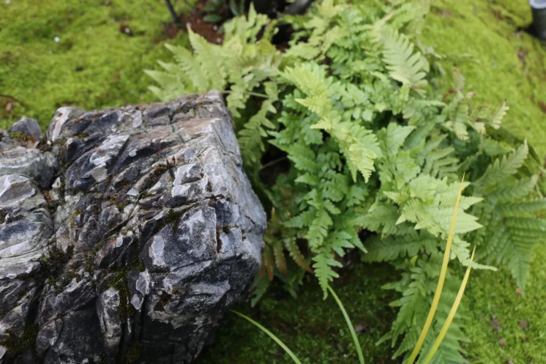 微信图片_20230204114717