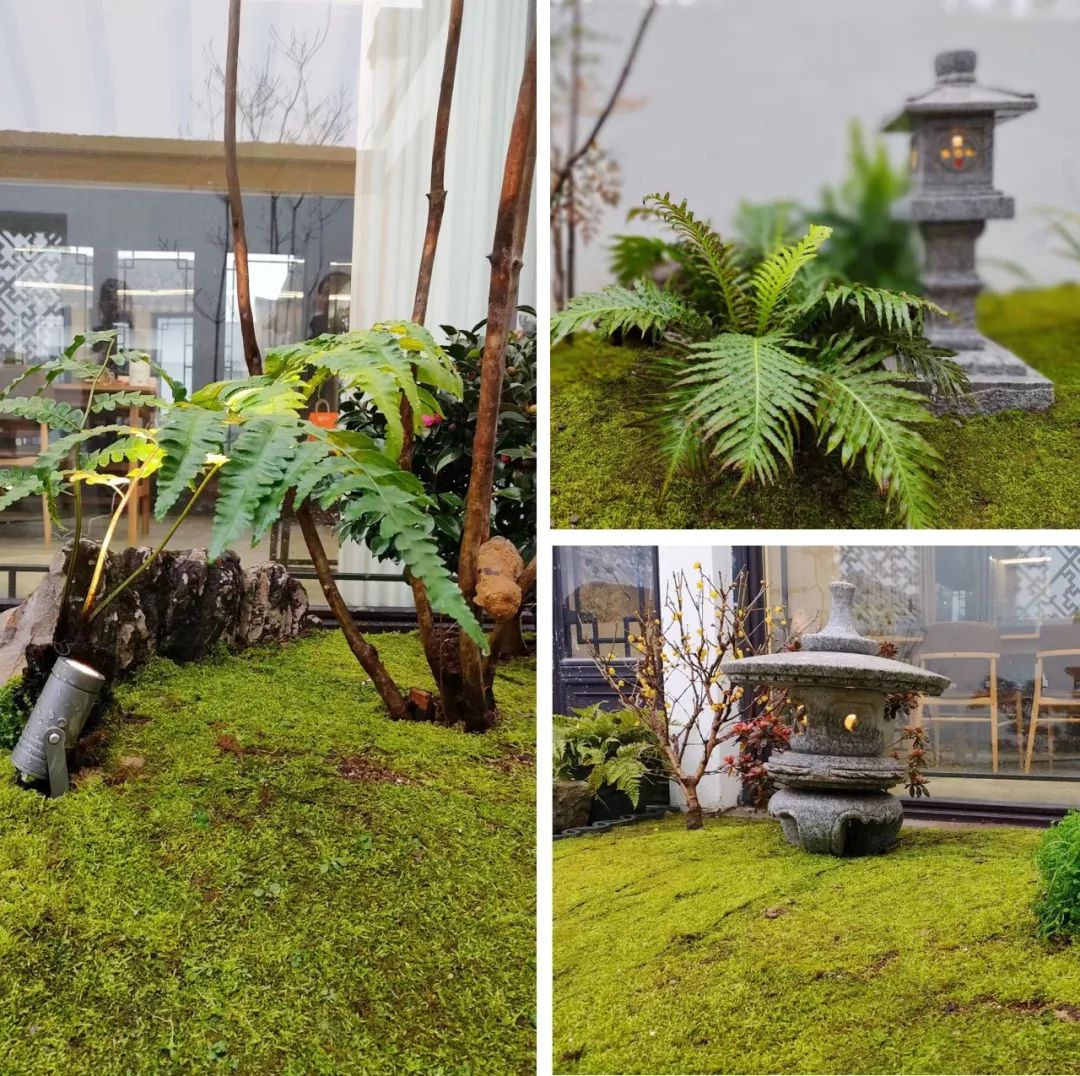 微信图片_20230204114723