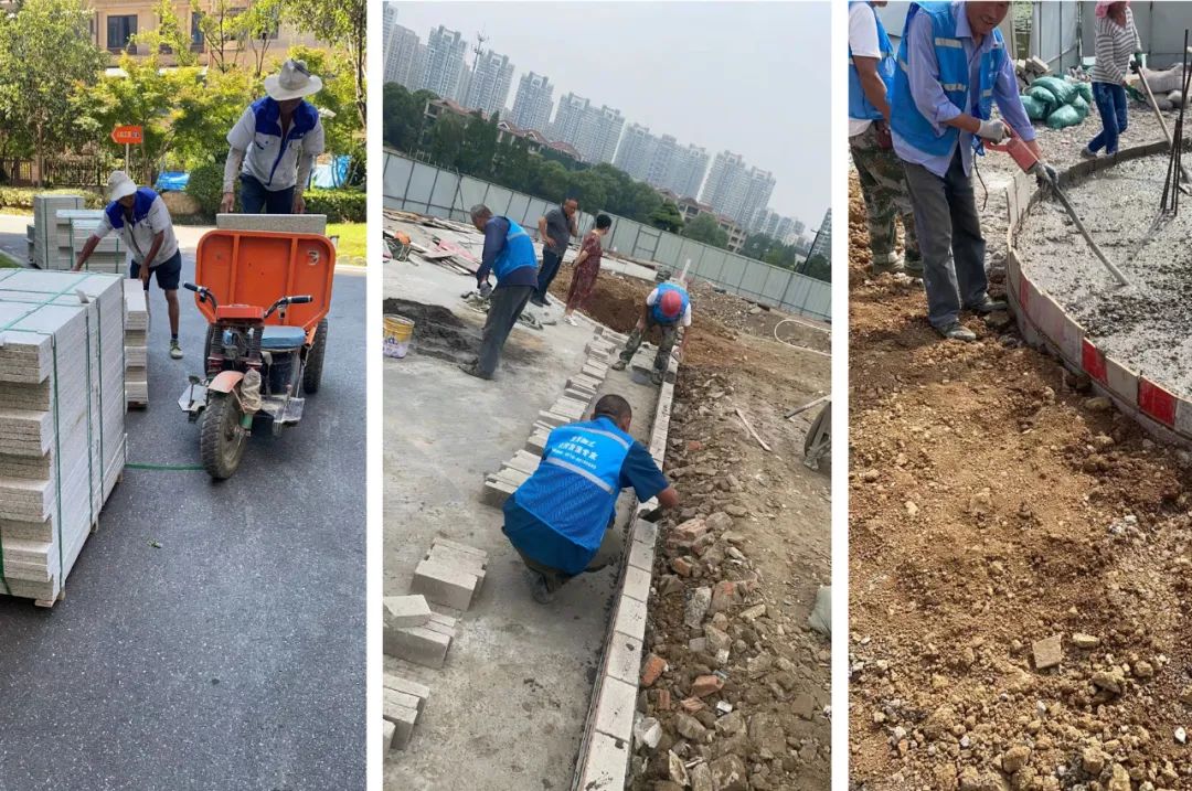 微信图片_20230310082311