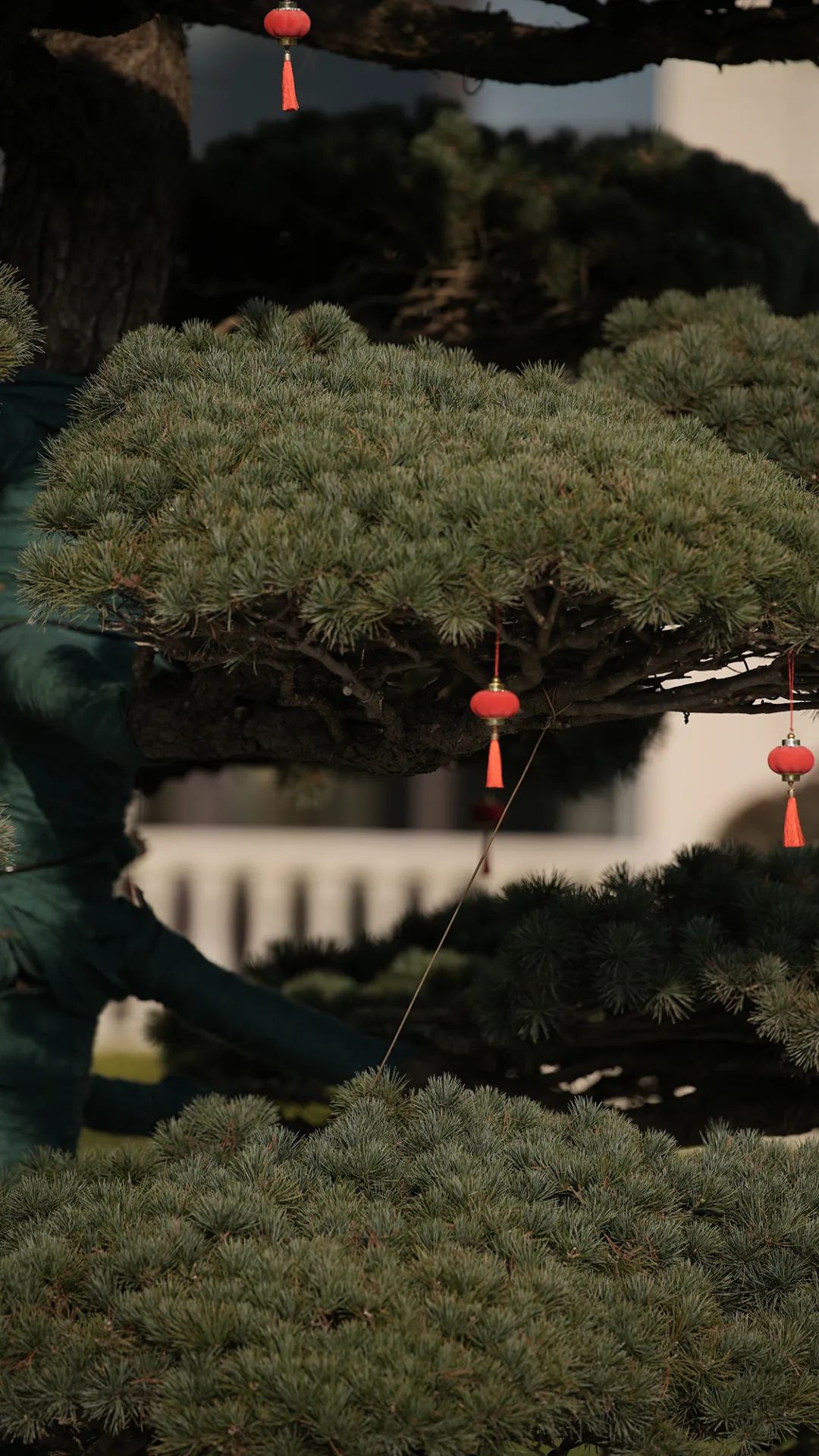 微信图片_20230310084120