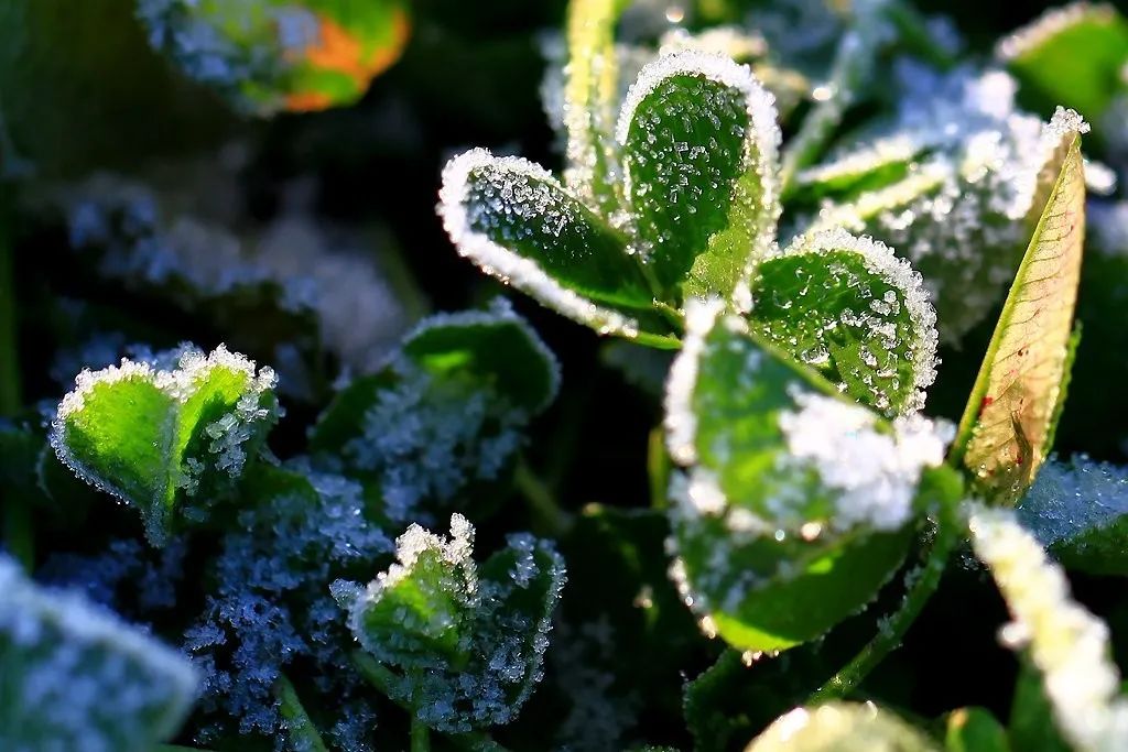 微信图片_20231024102451